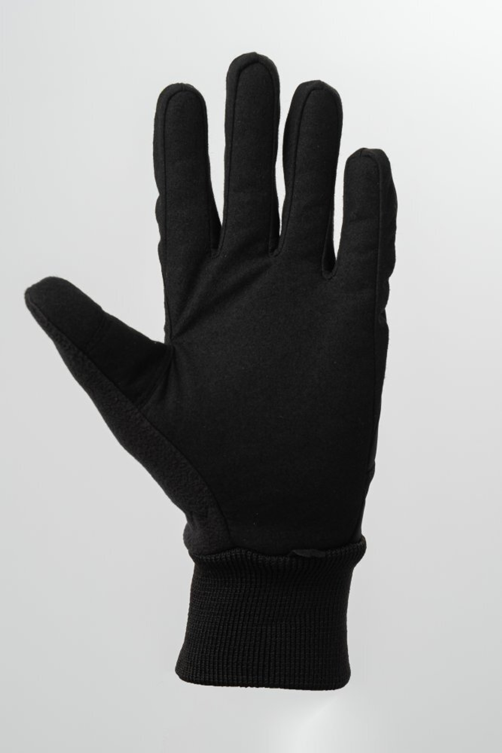 Перчатки Nordski Motion WS