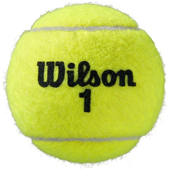 Теннисные мячи Wilson Roland Garros All Court 3B