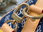 Louis Vuitton Speedy 25
