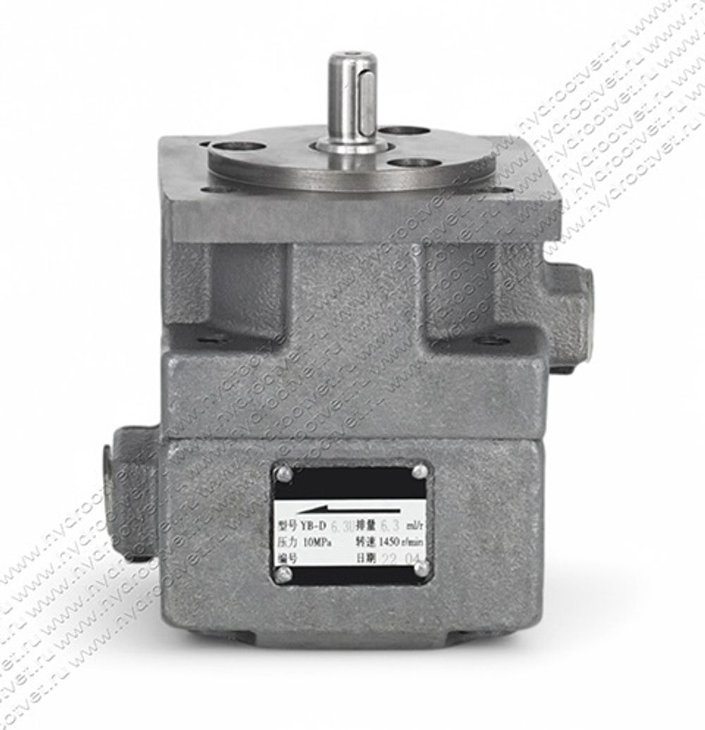 БГ12-41А - Пластинчатый нерегулируемый насос с рабочим объемом 6,3 см3, 100 бар (YB-D6.3U)