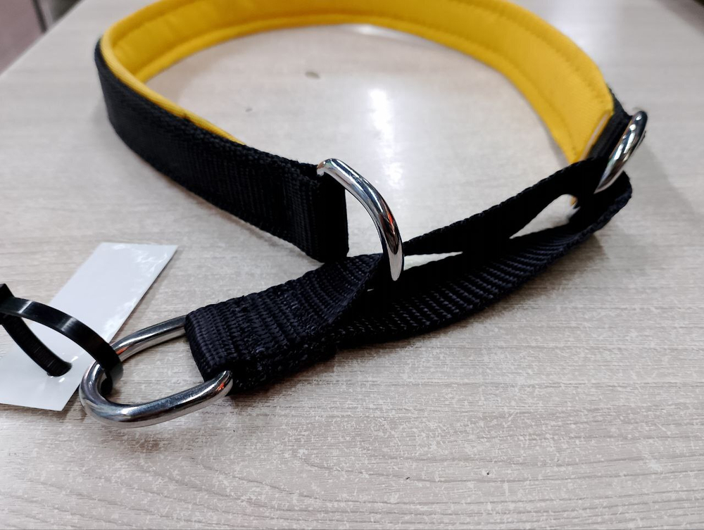 FORDOGTRAINERS Ошейник полуудавка нейлоновый 20 мм, 50 см