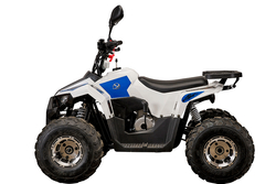 Yacota 110 Raposa 7" 2WD детский квадроцикл с двигателем 110 куб/см