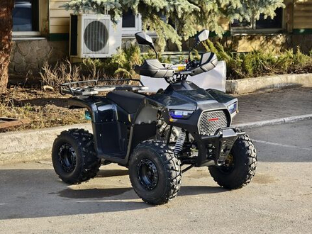 Комплект запчастей (Машинокомплект) для сборки квадроцикла Lion 125 RR черный(карбон)