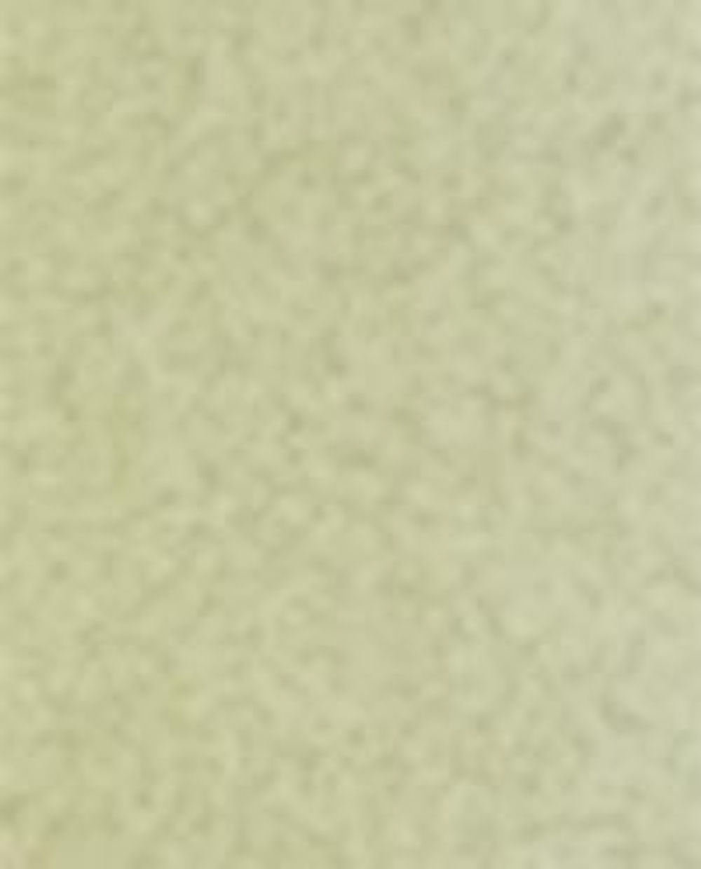 Zara Home Аромадиффузор Bergamot & Cedarwood 100 мл, тростниковые палочки микадо, аромат древесный, Коричневый