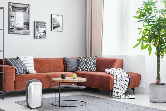 Осушитель воздуха FUNAI NEKO S RAD-N10T3E — (8)