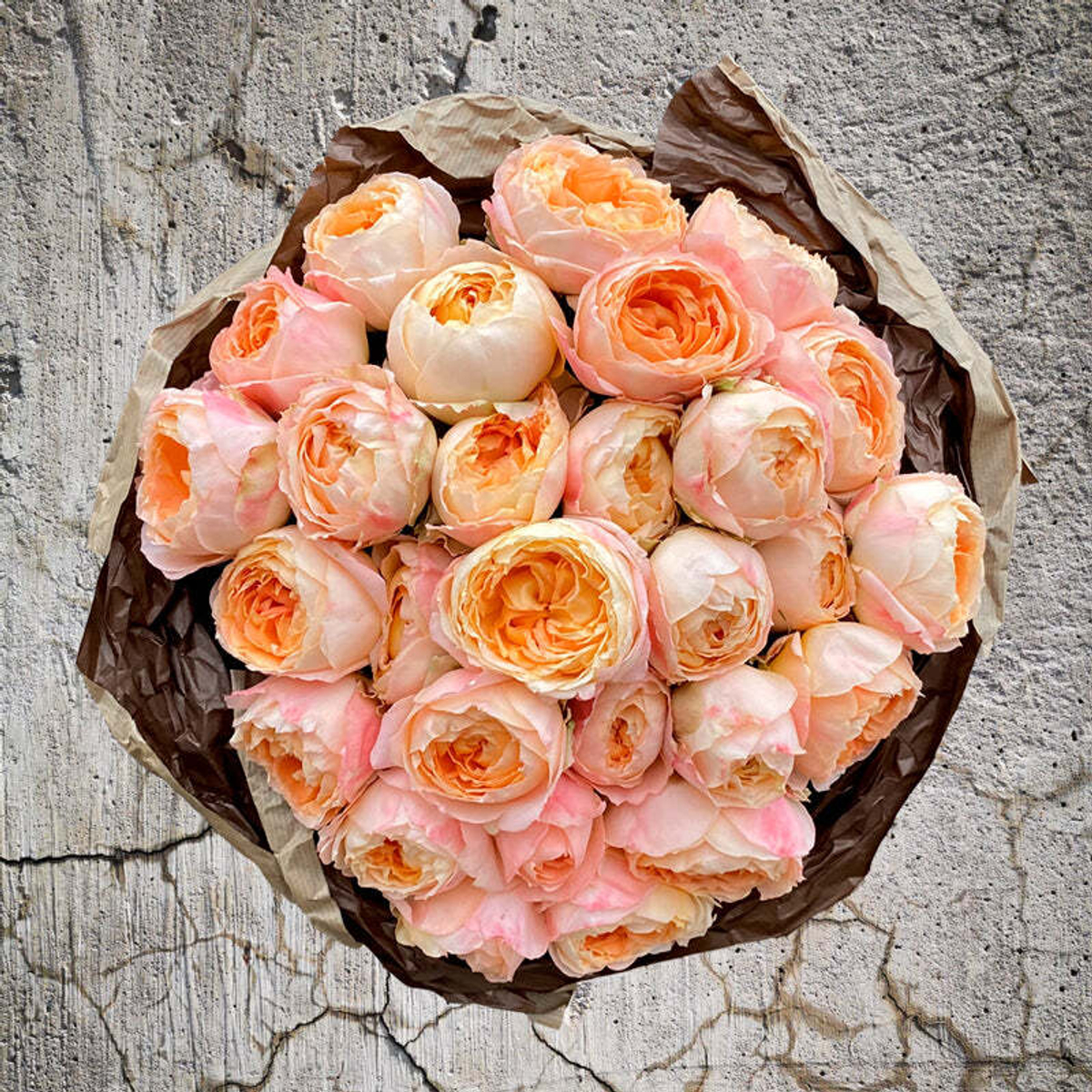 Принсес Айко (Princess Aiko) — японская садовая роза