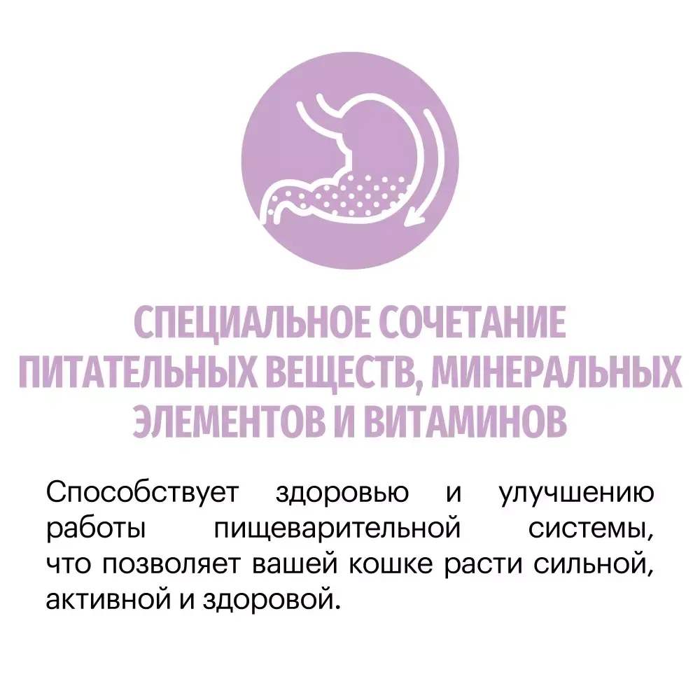 Сухой корм Karmy Kitten для котят, а также беременных и кормящих кошек, с индейкой