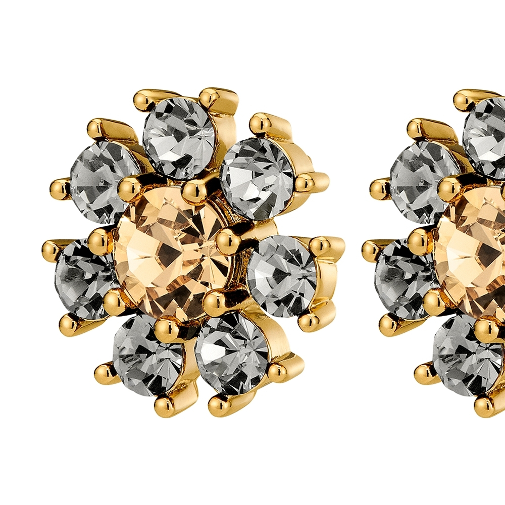 Серьги Dyrberg Kern AUDE SG GREY /GOLDEN 450097