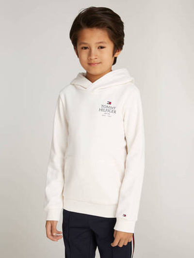 Худые Tommy Hilfiger - белый(KB0KB09193)