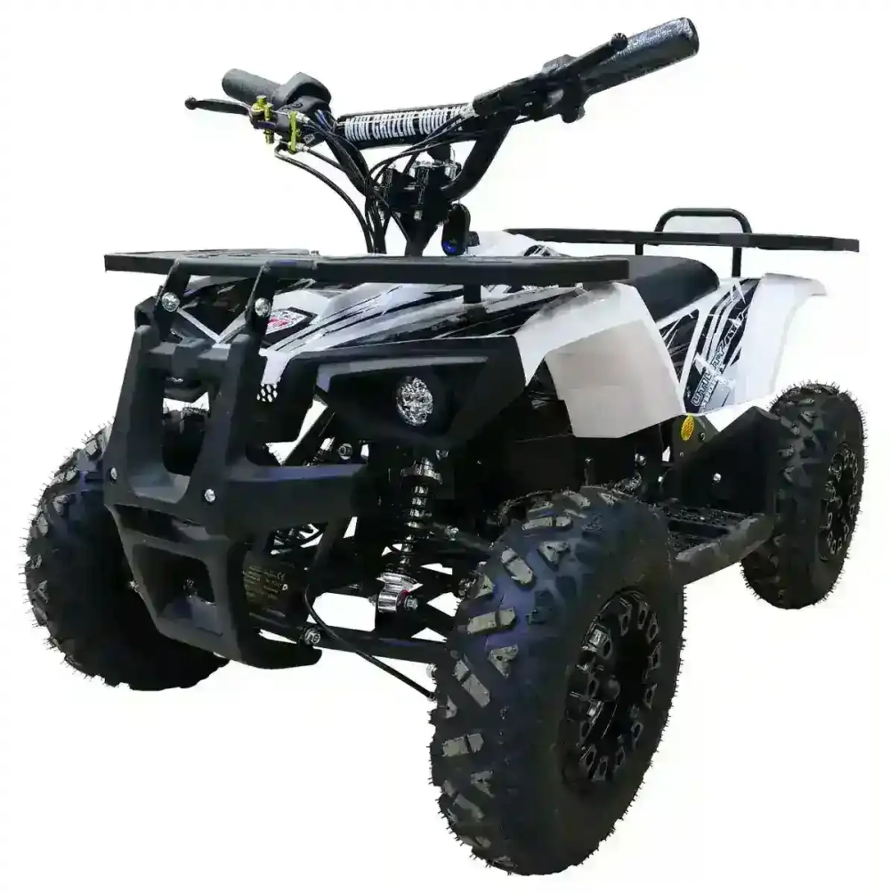 Электроквадроцикл MOTAX GRIZLIK MINI E1000