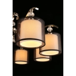 Потолочная люстра Aployt FLORET APL.703.17.08