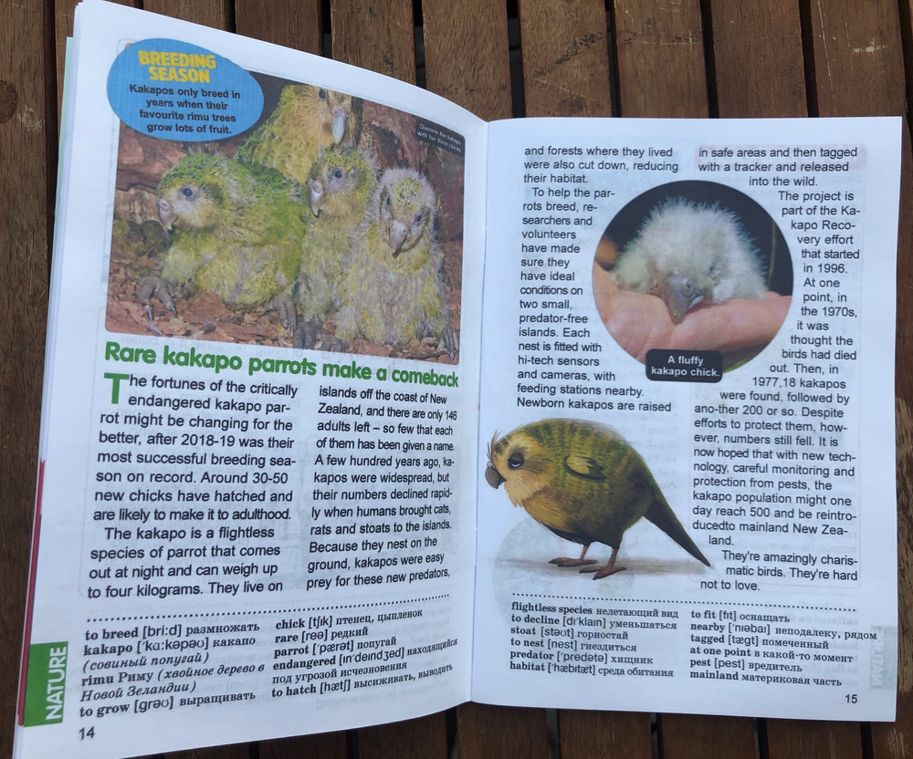 ШЛЯПА (журнал) Английский язык для мальчиков и девочек. 9 (69) 2019