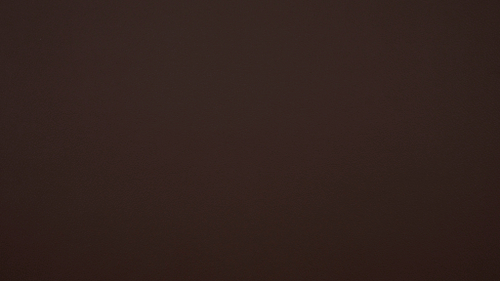 Rich 13 искусственная кожа, мебельная ткань, коричневый (ширина 1,4 м)