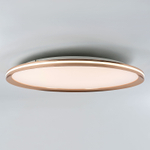 Потолочный светодиодный cветильник LED4U L3020-600 GD