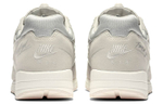 Кроссовки Fear Of God X Nike Air Skylon 2 Fear Of God Light Bone Fog