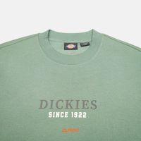  Толстовка мужская Dickies Park Sweatshirt  артикул:DK0A4YEIH151 - купить в магазине Дайс
