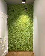 19.09. Озеленение кафе-пекарни "Ка Бриошь" г.Краснодар