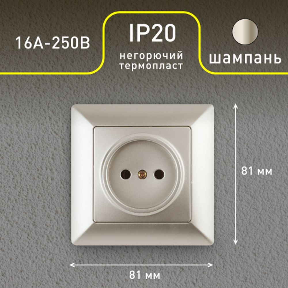 4-201-04 Intro Розетка 2P, 16А-250В, СУ, Solo, шампань