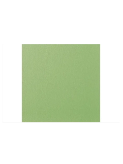 Стеклохолст малярный (паутинка) 40г/м2 1сорт 1х50 м (Оскар)