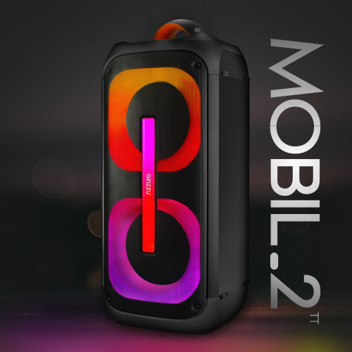 акустика Ginzzu GM-112 порт.