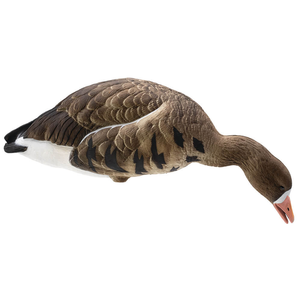 Белолобый гусь "FA LIVE FULL BODY SPECKLEBELLY" (6 штук) FA-197283