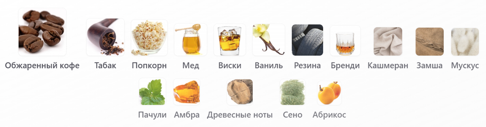 Strangers Parfumerie Roasted Coffee Cigarette Whisky Come And Get Your Suede Honey Baby