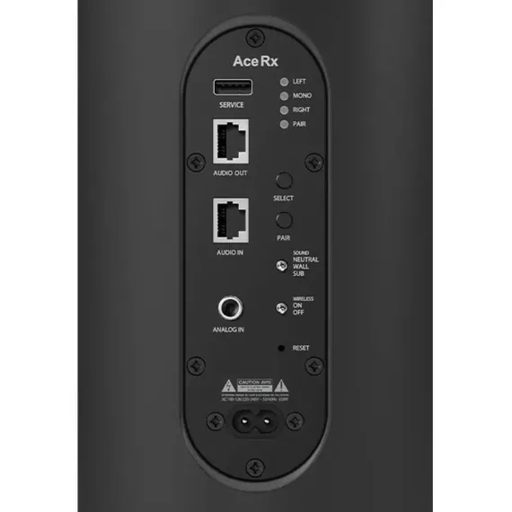 Piega Ace 50 Wireless RX Black