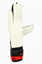 Вратарские перчатки adidas Predator Training