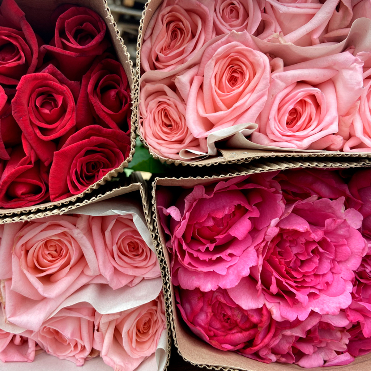 Яркий микс — игра ароматов и цвета