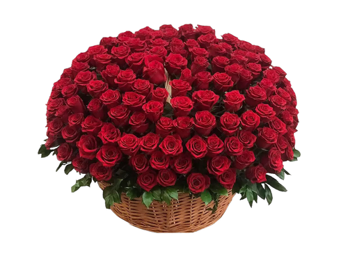 Траурная корзина из живых цветов «100 бордовых роз Эквадор с зеленью»