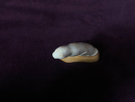 Кот 3