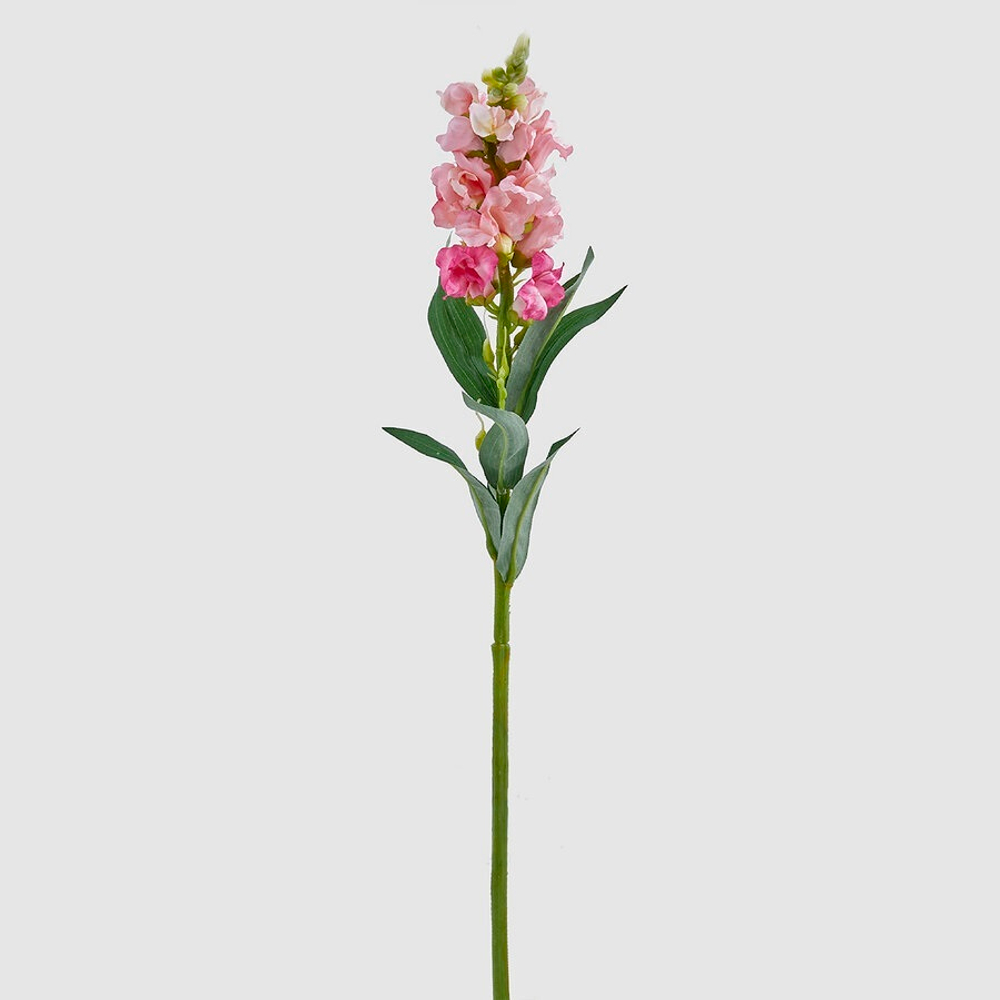 Львиный зев 59 см