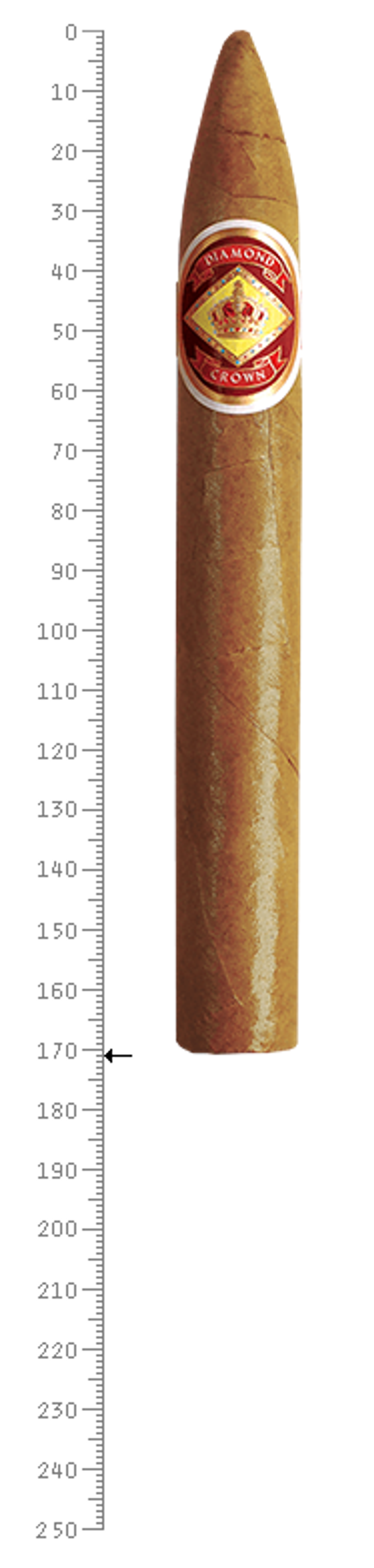 Diamond Crown No. 7 Torpedo