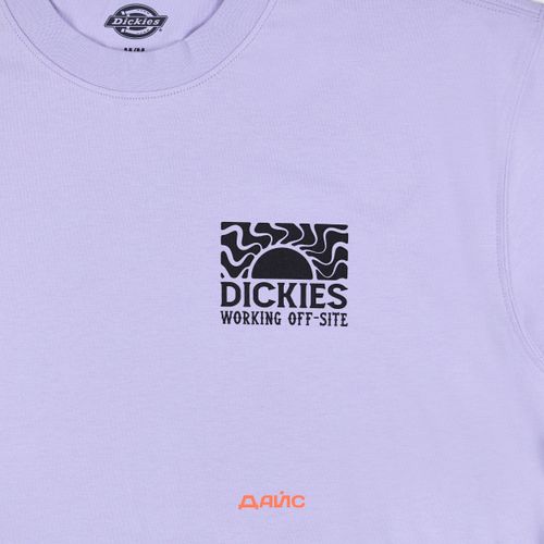 Футболка мужская Dickies Saltville Tee артикул:DK0A4YR9H181 - купить в магазине Дайс