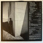 Bruce Cockburn ‎– Dancing In The Dragon's Jaws (США)