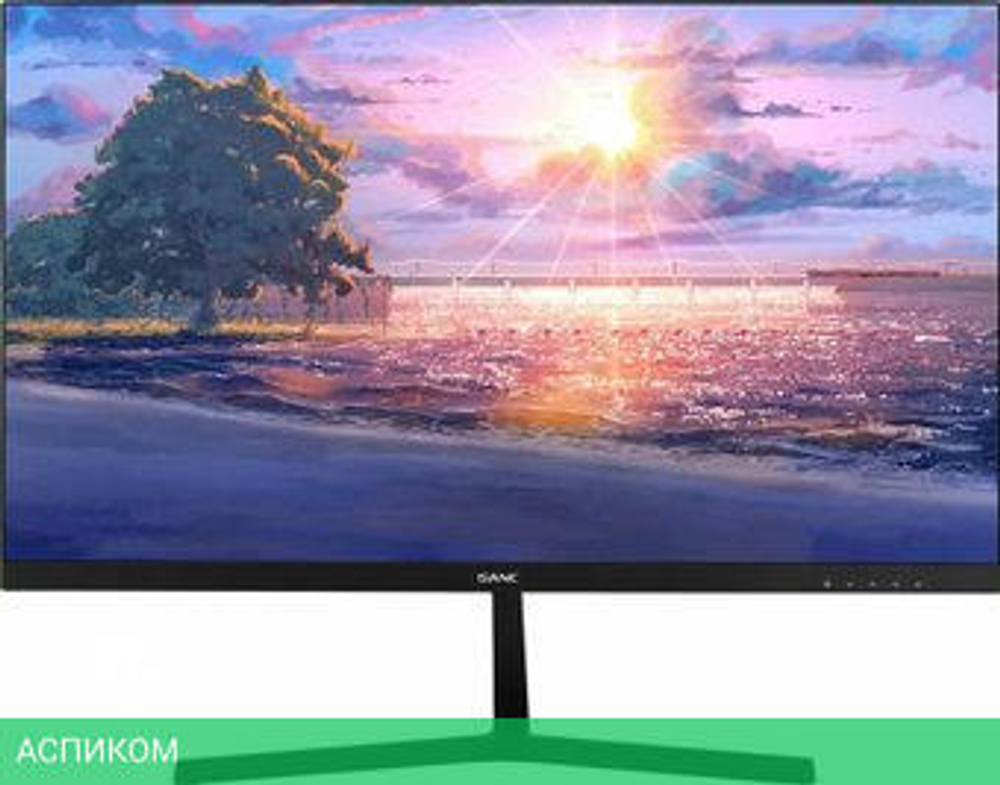 Монитор Sanc M2453J(N2453)