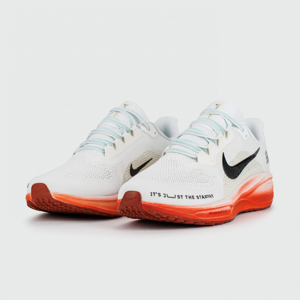 кроссовки Nike Air Zoom Pegasus 41 Eliud Kipchoge Wmns