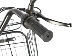 Электровелосипед GREEN CITY e-ALFA Trike (синий)