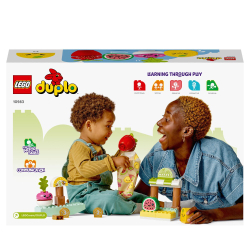 LEGO DUPLO Мой первый — Биомаркет 10983