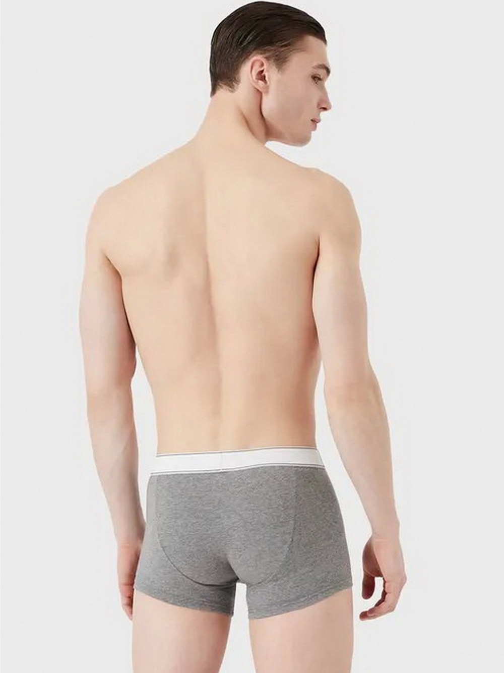 Трусы 2шт/упак мужские EMPORIO ARMANI
