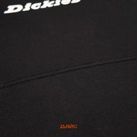  Толстовка мужская Dickies Enterprise Hoodie  артикул:DK0A4Z2NBLK1 - купить в магазине Дайс