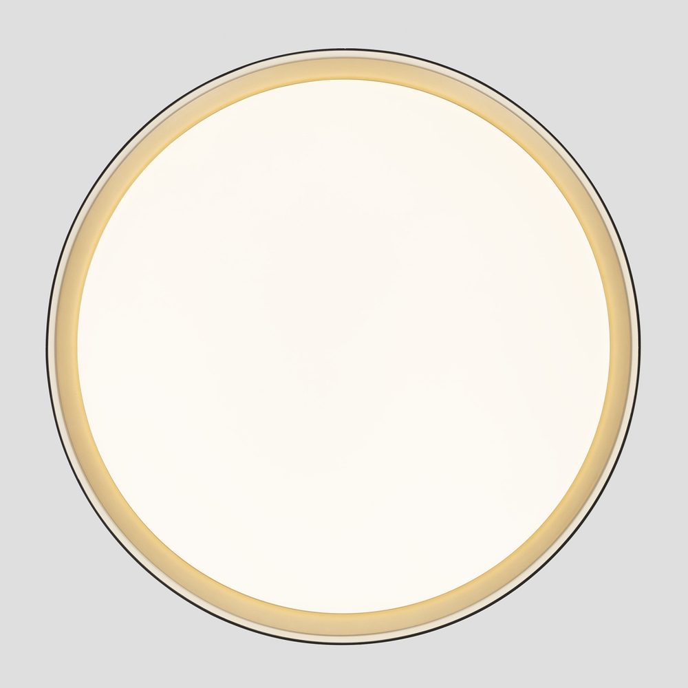 Потолочный светодиодный светильник Citilux Boss CL751451G LED RGB