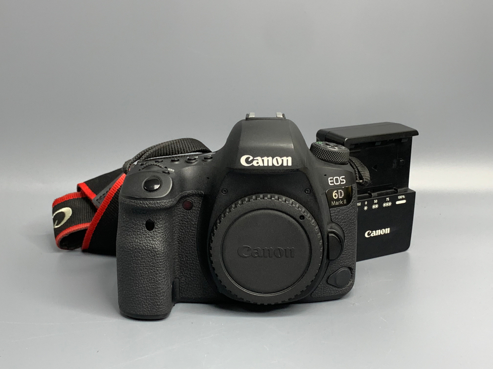 Canon 6D Mark II 110.000 кадров