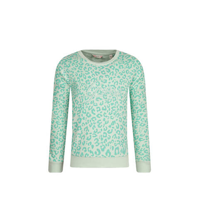 худые Guess - мятный(J2YQ00 KA6R3)