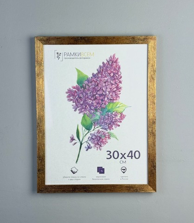 Фоторамка пластиковая 30х40 см, коричневая, фактура дерево, арт. 3040.628060