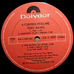 Tony Banks / A Curious Feeling (LP)