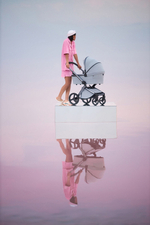 Детская коляска Anex l/type 3 в 1 Frost