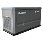 Генератор газовый EVOline GNG 19000 E (адаптированный)