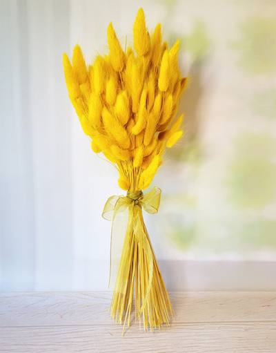 Букет сухоцветов из лагуруса желтого