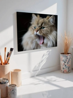 Картина на стену 40 X 50 Кошка